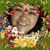 Maria Sanchez's profile image