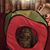 Judith Ann Townsend Croasmun's profile image