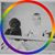David Schauer's profile image