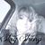 Danette Fitzgerald's profile image