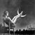 Liza J. Elliott's profile image