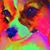 Susanne Aspley's profile image