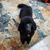 Kathy Hynd Clark's profile image