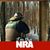Jason Nicholson's profile image