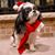 Michele Ellis Wognum's profile image