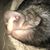 Samantha Moyer's profile image