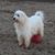CloDean Rumley's profile image