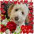 Jeff Hartman's profile image
