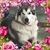 Lisa Ciepiela's profile image