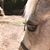 Amy Cheatham's profile image