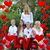 Linda Kuper Mortensen's profile image