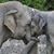Shelley Fischer-Lemasters's profile image