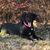 Tonya Humphrey Billings's profile image