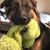 Julie Fink's profile image