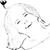 Vera Holanda's profile image