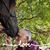 Carolyn Votca Robeck's profile image