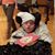 Harold Hedrick III's profile image