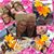 Gayle Chandler Vosseler's profile image
