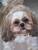 Astrid T.'s profile image