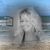 Tamala Clark Swafford's profile image