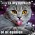 Cheryl Batchelor's profile image