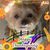 Lisa Harper Delahoussaye's profile image