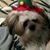 Lori McDonald Sitzmann's profile image