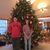 Maureen Patricia Nikitas's profile image