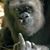 Mike Thornton's profile image