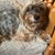Sarah Cotton Robinson's profile image