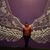 Alro Montenegro's profile image