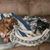 Erin V. Molden-Howard's profile image