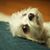 Leann Bethem's profile image