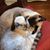 Cindi Brigden's profile image
