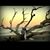 Millie Gonzalez Rowe's profile image