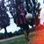 Gonzalo Turcuman's profile image