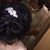 Shahry Azar's profile image