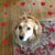 Michele White's profile image