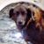 Anna Wilson's profile image