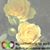 Shannon Price's profile image