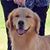 Pam Benson's profile image