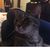 Lucy C.'s profile image