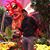 Sergio Sanchez's profile image