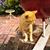 Kitty Morris's profile image