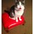 Tracey Aldrich's profile image