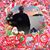 Darlene Muniak's profile image