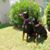 Beverly Koster Miksa's profile image
