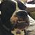Rich Sinatra's profile image