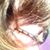 Marta Fischer's profile image