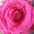 Beth Mariani's profile image